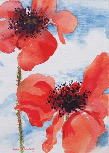 Amapolas de Joan Thewsey